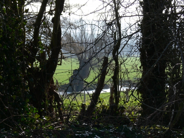 Saint Aubin le Cauf (3-